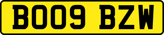 BO09BZW
