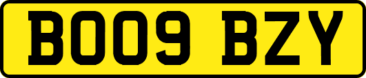 BO09BZY