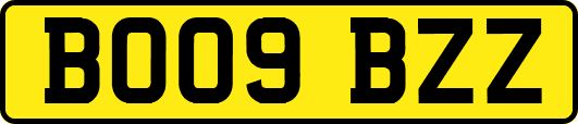 BO09BZZ