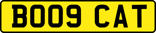 BO09CAT