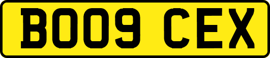 BO09CEX
