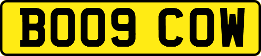 BO09COW