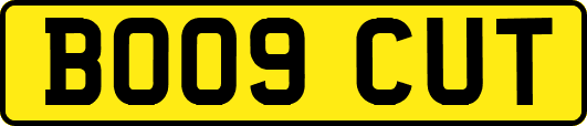 BO09CUT