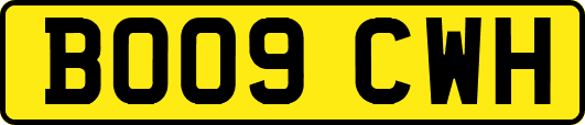 BO09CWH