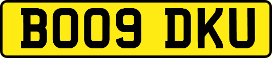 BO09DKU