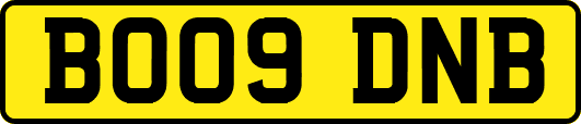 BO09DNB