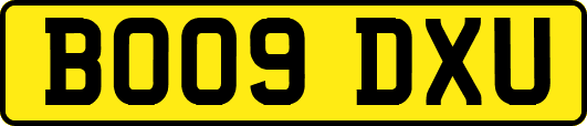 BO09DXU