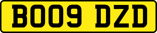 BO09DZD