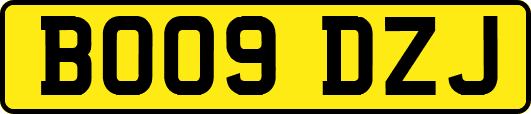 BO09DZJ