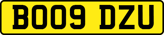 BO09DZU