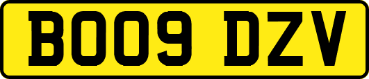 BO09DZV