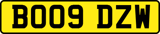 BO09DZW
