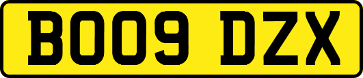 BO09DZX
