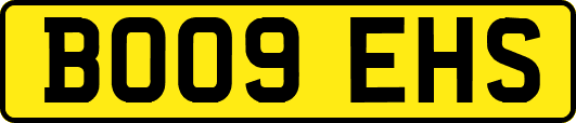 BO09EHS