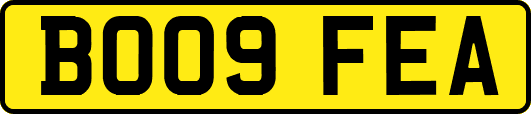 BO09FEA