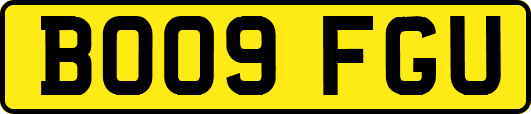 BO09FGU