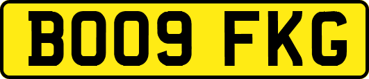 BO09FKG