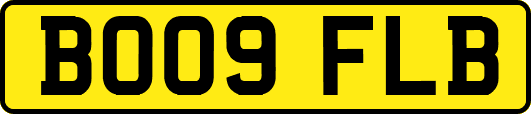 BO09FLB