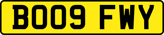 BO09FWY