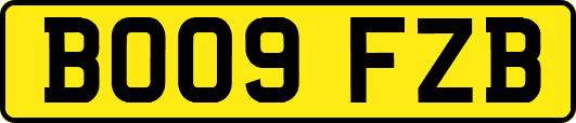 BO09FZB