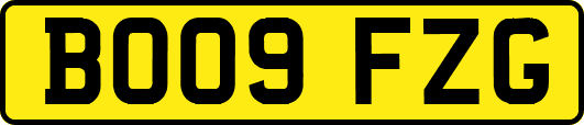 BO09FZG