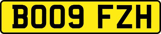 BO09FZH