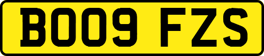 BO09FZS