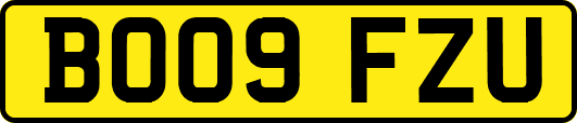 BO09FZU
