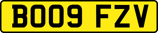 BO09FZV