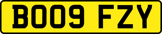 BO09FZY