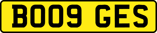 BO09GES
