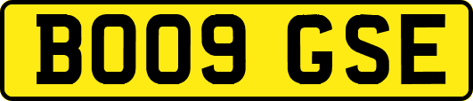 BO09GSE