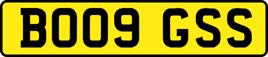 BO09GSS