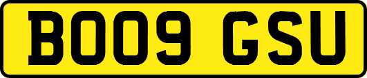 BO09GSU