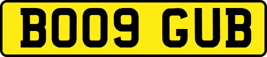 BO09GUB