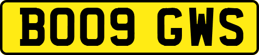 BO09GWS
