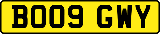BO09GWY