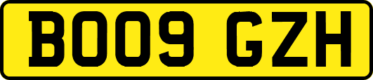 BO09GZH