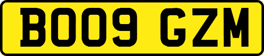 BO09GZM