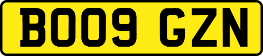 BO09GZN