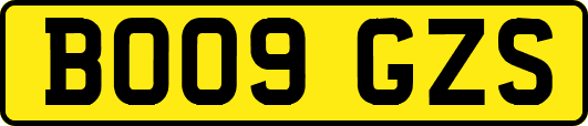 BO09GZS