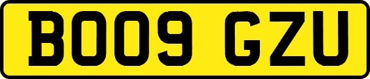 BO09GZU