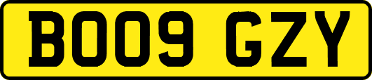 BO09GZY
