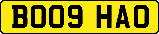 BO09HAO