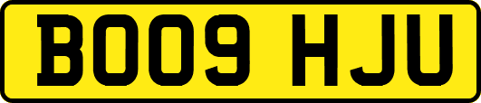 BO09HJU