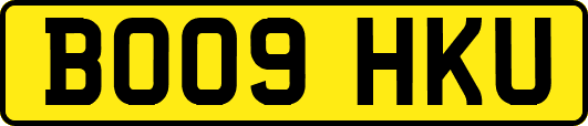 BO09HKU