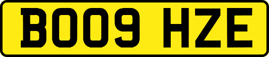 BO09HZE