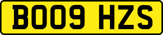 BO09HZS