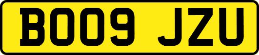 BO09JZU