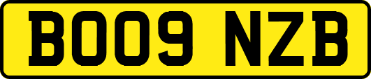 BO09NZB